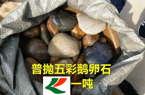 普抛五彩