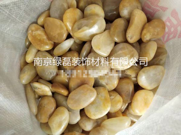 精品黄扁