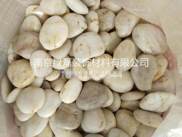精品白扁